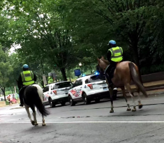 PoliceHorses.png